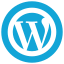 940975_wordpress_wp icon_icon